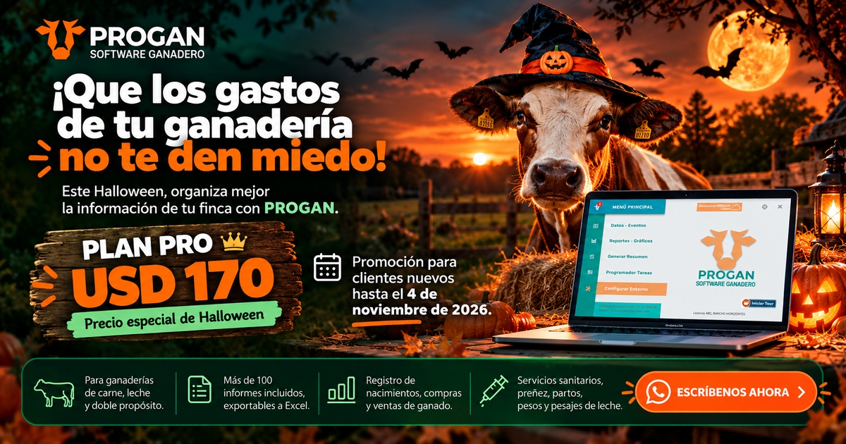 Estamos de Halloween