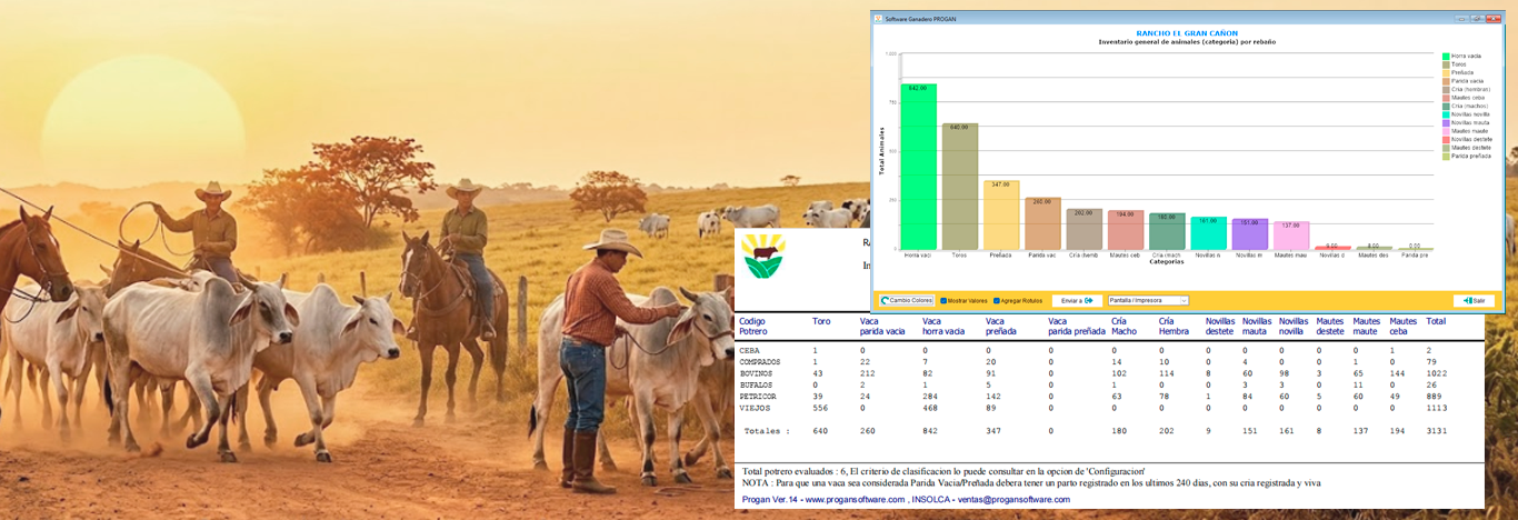 Organiza tu ganadería con PROGAN Organiza tu ganadería con PROGAN