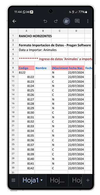 PROGAN Cloud-Formato Importacion de Datos PROGAN Cloud-Formato Importacion de Datos