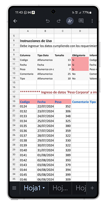 PROGAN Cloud-Excel Instrucciones de uso PROGAN Cloud-Excel Instrucciones de uso